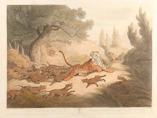 Appraisal: A SET OF FOUR AQUATINTS by Samuel Howett after Capt