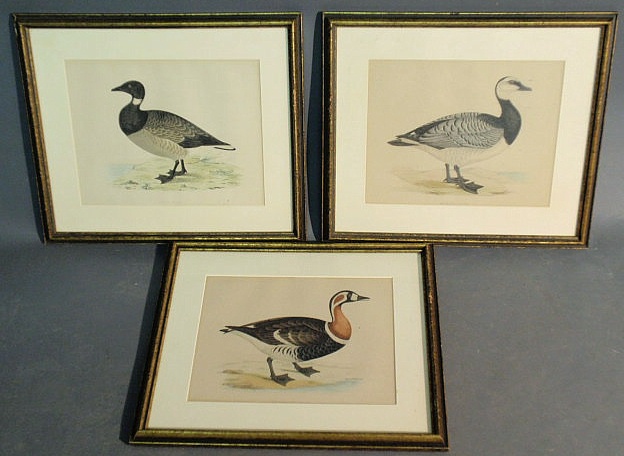 Appraisal: Three framed goose prints x