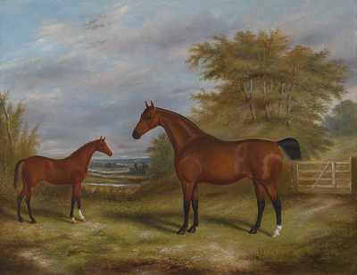 Appraisal: James Clark British - Mare and Foal Oil on canvas