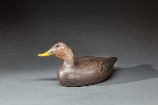 Appraisal: Swimming Black Duck Charles H Hart - Gloucester MA c