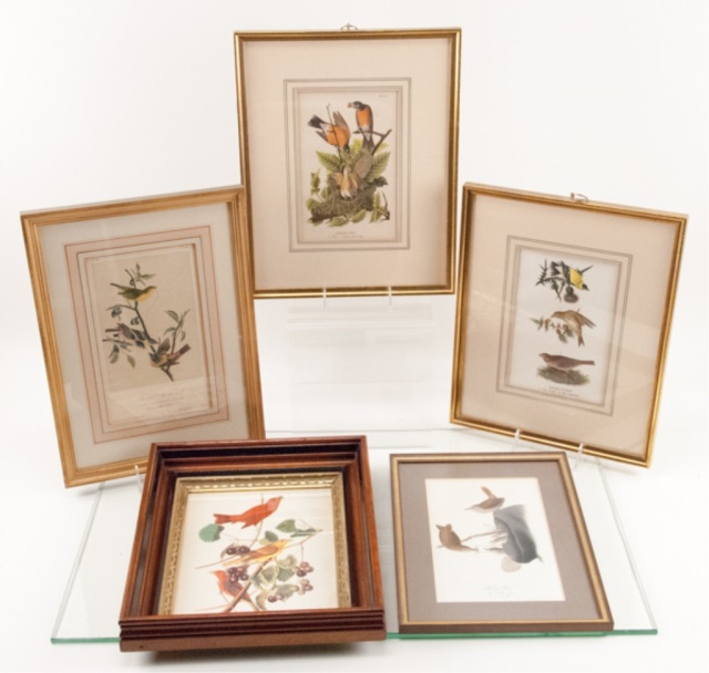 Appraisal: Five Bird Prints To include pieces Largest- H x W