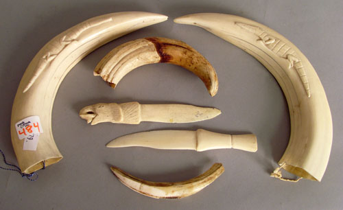 Appraisal: Pair of carved tusks with alligators signed Erna Alber VII