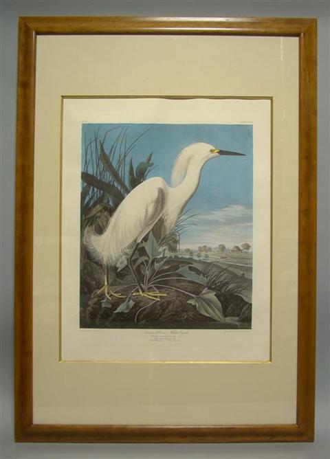 Appraisal: JAMES AUDUBON SNOWY HERON OR WHITE EGRET Colored print in