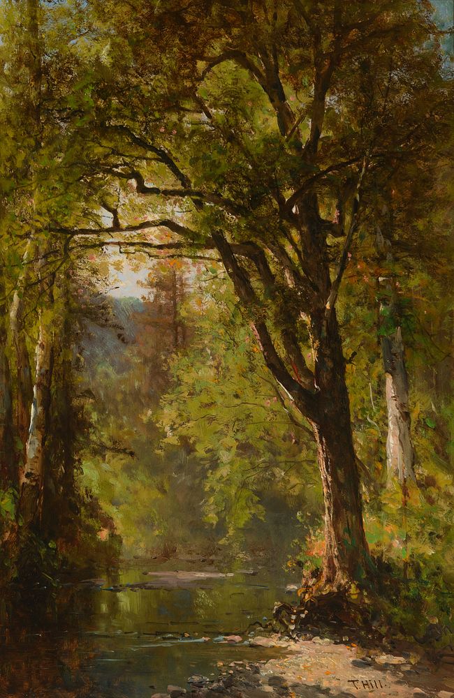 Appraisal: Thomas Hill - Woodland Stream Thomas Hill - Woodland Stream