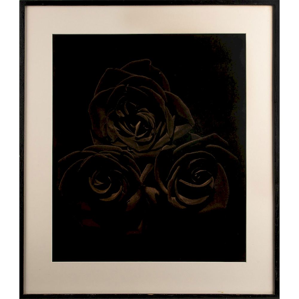 Appraisal: DAVID TURNER PHOTOGRAPH MONOCHROME ROSES Three roses in black and