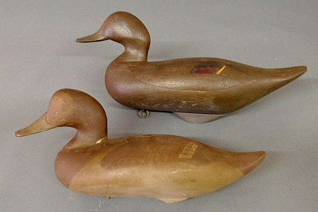 Appraisal: - Carved canvasback decoy signed Harry Jobes h x l