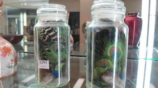 Appraisal: TWO JARS OF PEACOCK FEATHERS