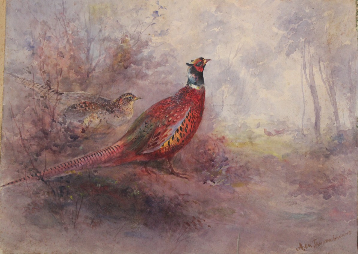 Appraisal: After Archibald Thorburn Phesants in a woodland and brace of