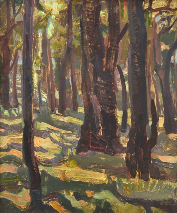 Appraisal: MURRAY GRIFFIN - Sunlit Forest Kinglake circa s oil on