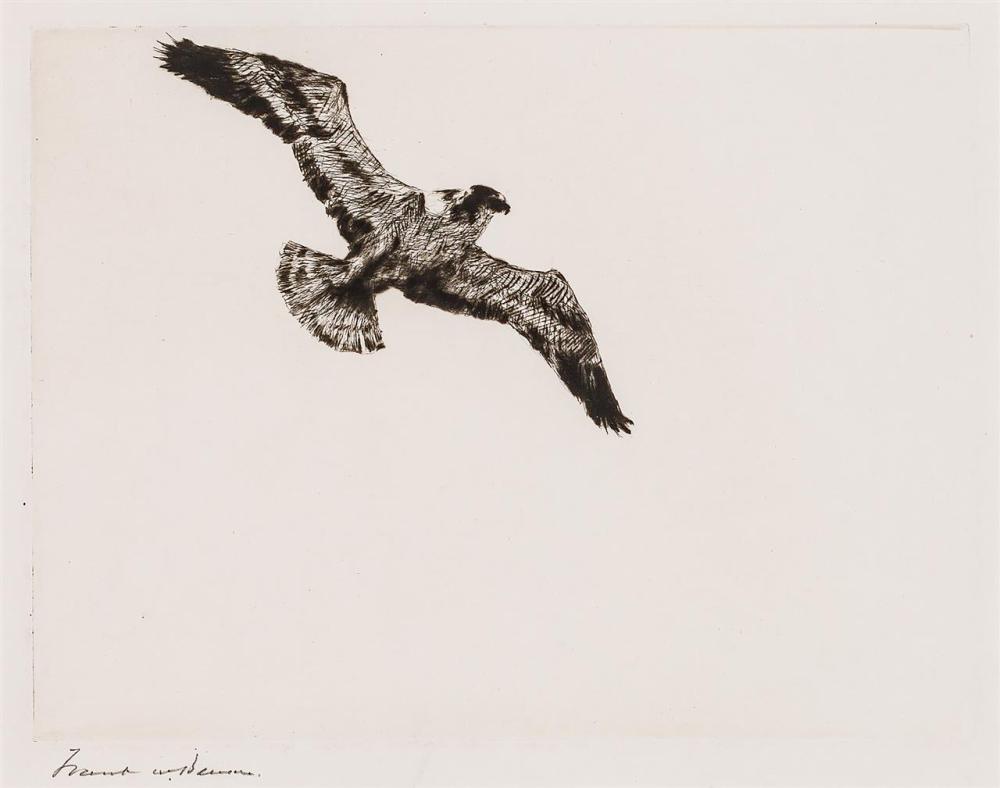 Appraisal: FRANK WESTON BENSON American - Soaring Fish Hawk drypoint on