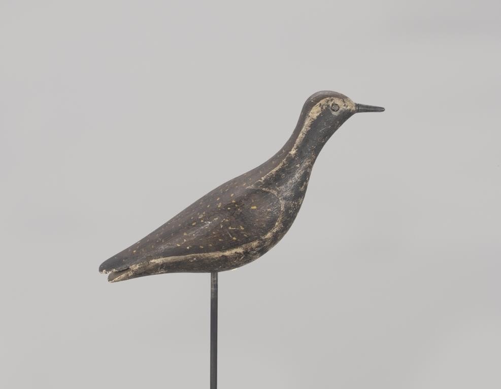 Appraisal: Nantucket MA c in long A rare golden plover with