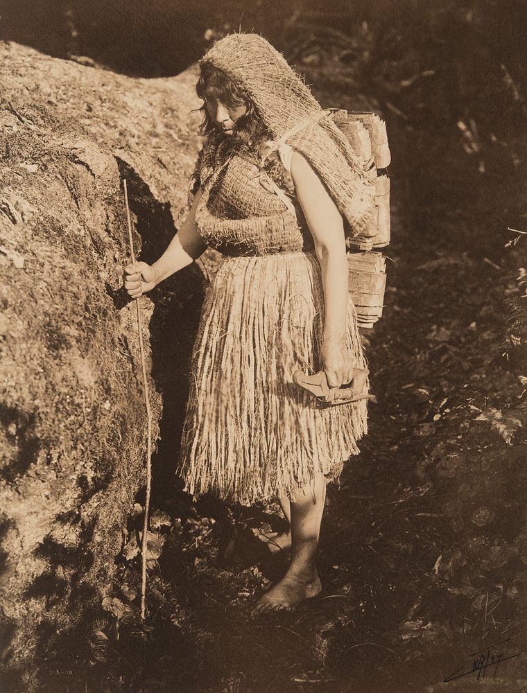 Appraisal: Edward Curtis The Bark Gatherer - Makah Edward S Curtis