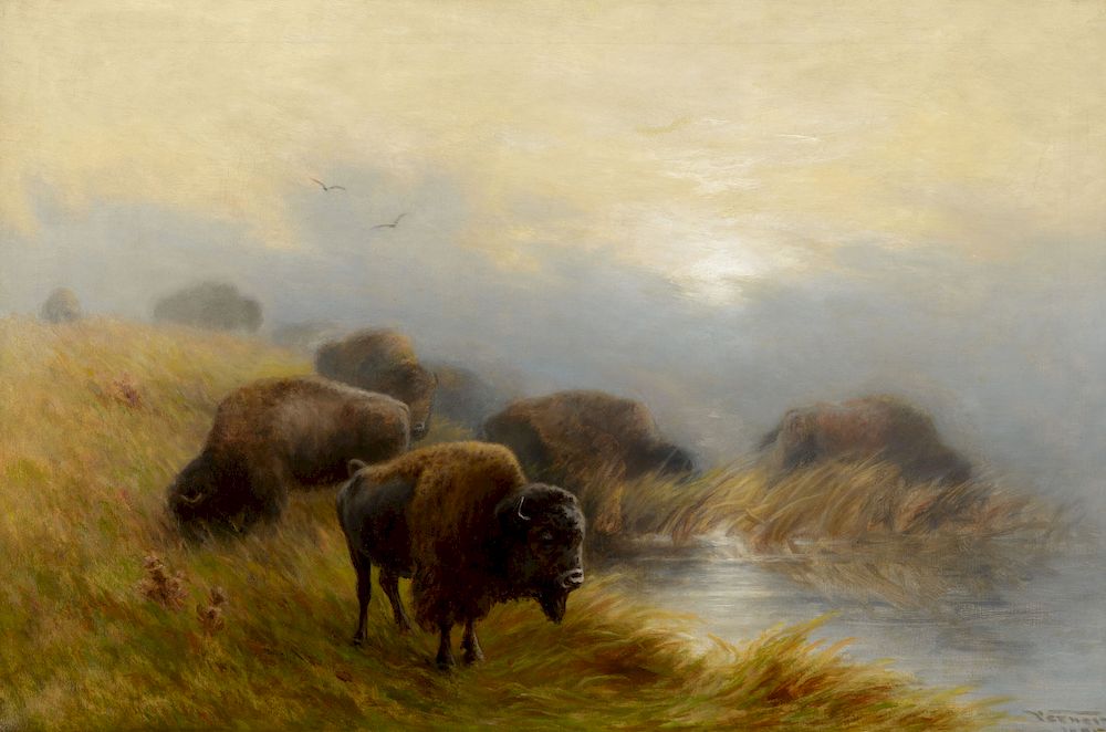 Appraisal: Frederick A Verner - Grazing Buffalo Exclusive on Bidsquare Frederick