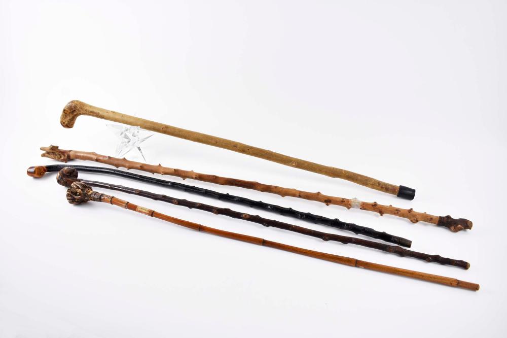 Appraisal: FIVE NATURAL WOOD AND OR ROOT WALKING STICKS th Century