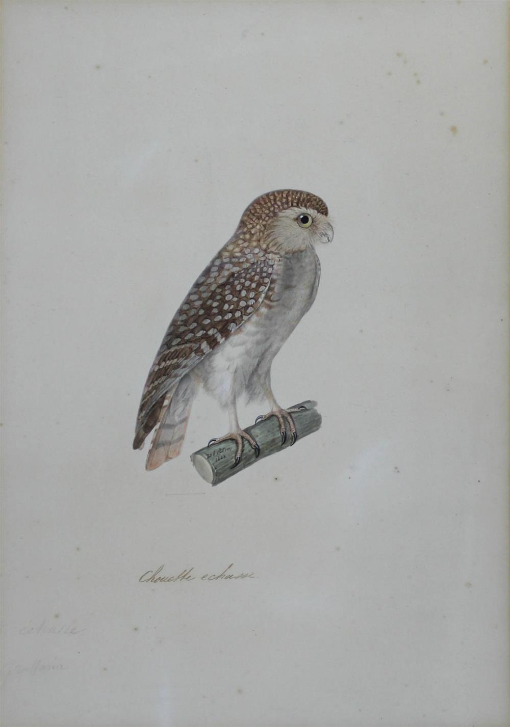 Appraisal: JEAN GABRIEL PRETRE FRENCH - CHOUETTE ECHASSE OWL STRIX GRALLARIA