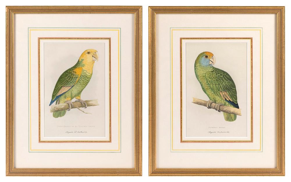 Appraisal: PAIR OF PRINTS DEPICTING PARROTS TH CENTURY X SIGHT FRAMED