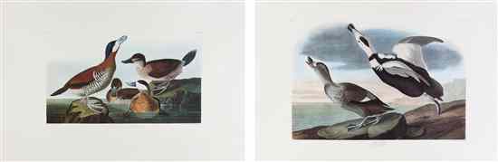 Appraisal: AUDUBON JOHN JAMES after ABBEVILLE PRESS A group of six