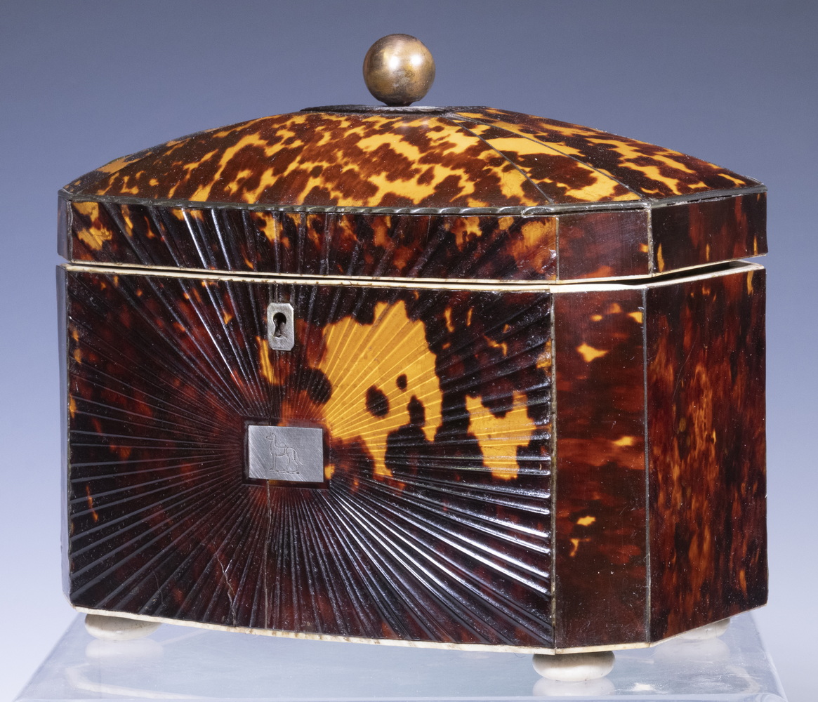 Appraisal: TORTOISESHELL TEA CADDY English Regency Period Bowfront Tea Caddy c