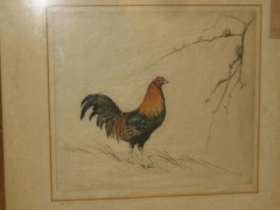 Appraisal: GEORGE VERNON STOKES The Cock coloured etching limited edition No