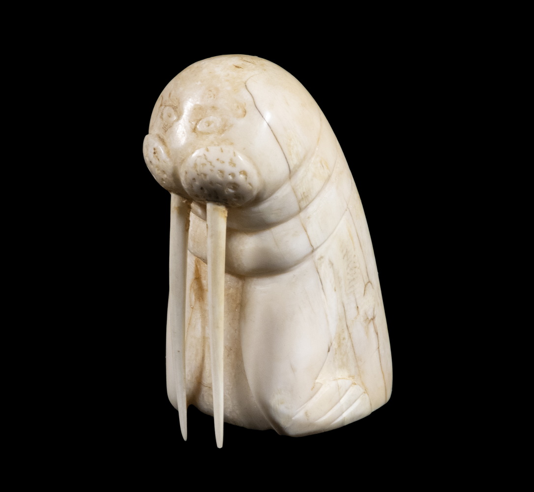 Appraisal: TH C WALRUS TUSK PORTRAIT OF A WALRUS Fully Dimensional