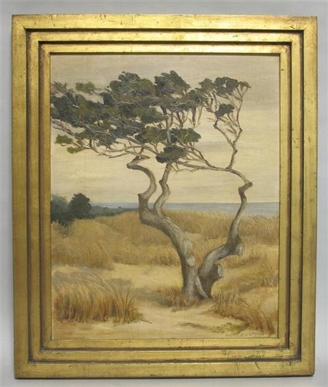 Appraisal: JOSEFA BACKUS AMERICAN - WINDBLOWN CEDAR Oil on canvas board