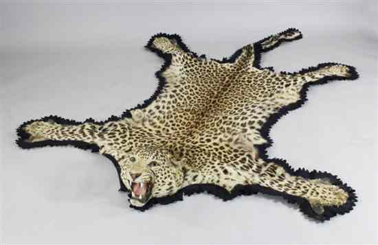 Appraisal: A taxidermic leopard skin with label for THAT JUNGLE Rowland