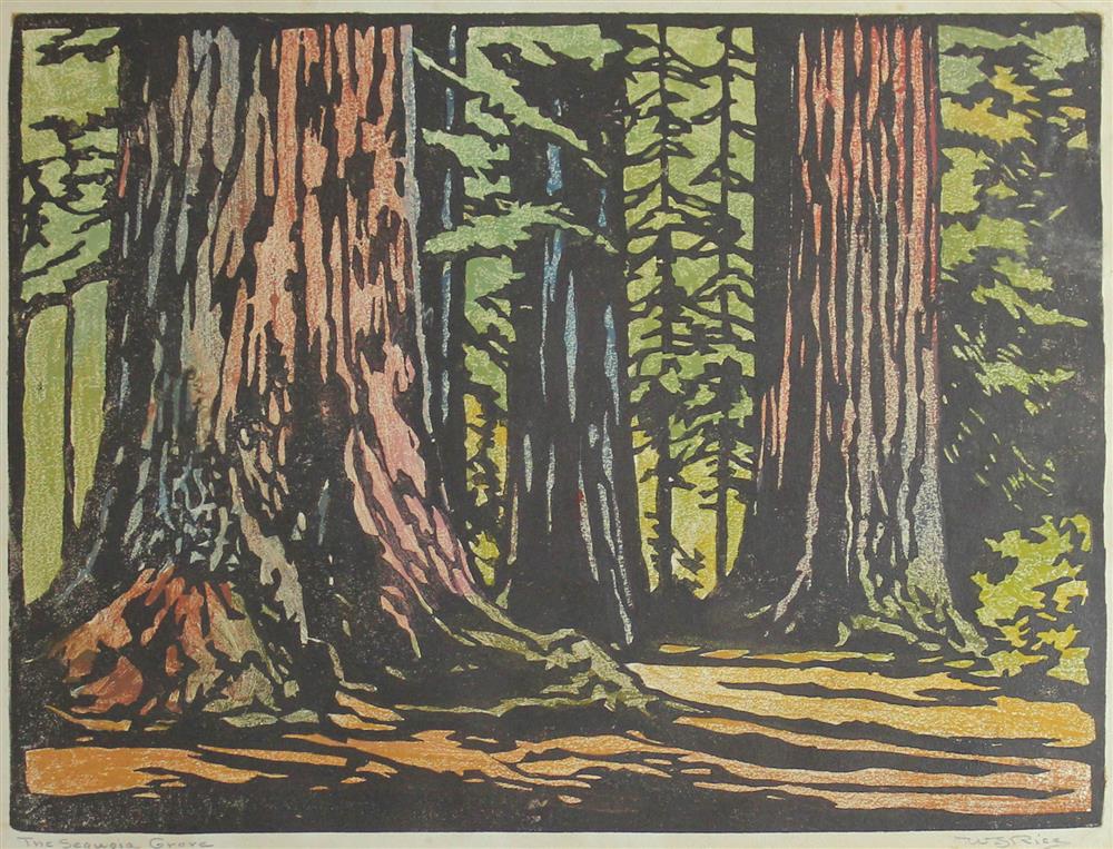 Appraisal: WILLIAM SELTZER RICE AMERICAN - THE SEQUOIA GROVE Woodcut in