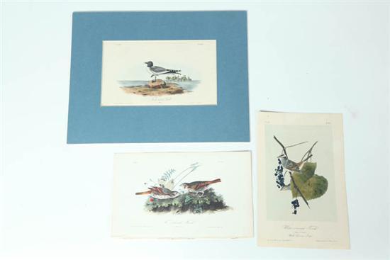 Appraisal: FOURTEEN PRINTS AFTER JOHN JAMES AUDUBON AMERICAN - Handcolored lithographs