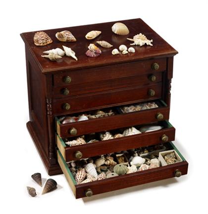 Appraisal: Collection of shell specimens and table cabinet The walnut case