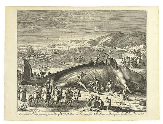 Appraisal: WILLEM VAN GOUWEN A Beached Whale between Scheveningen and Katwijk