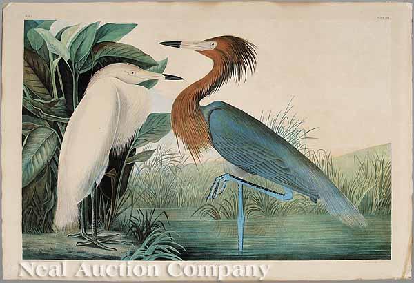 Appraisal: After John James Audubon American - Reddish Egret Part -