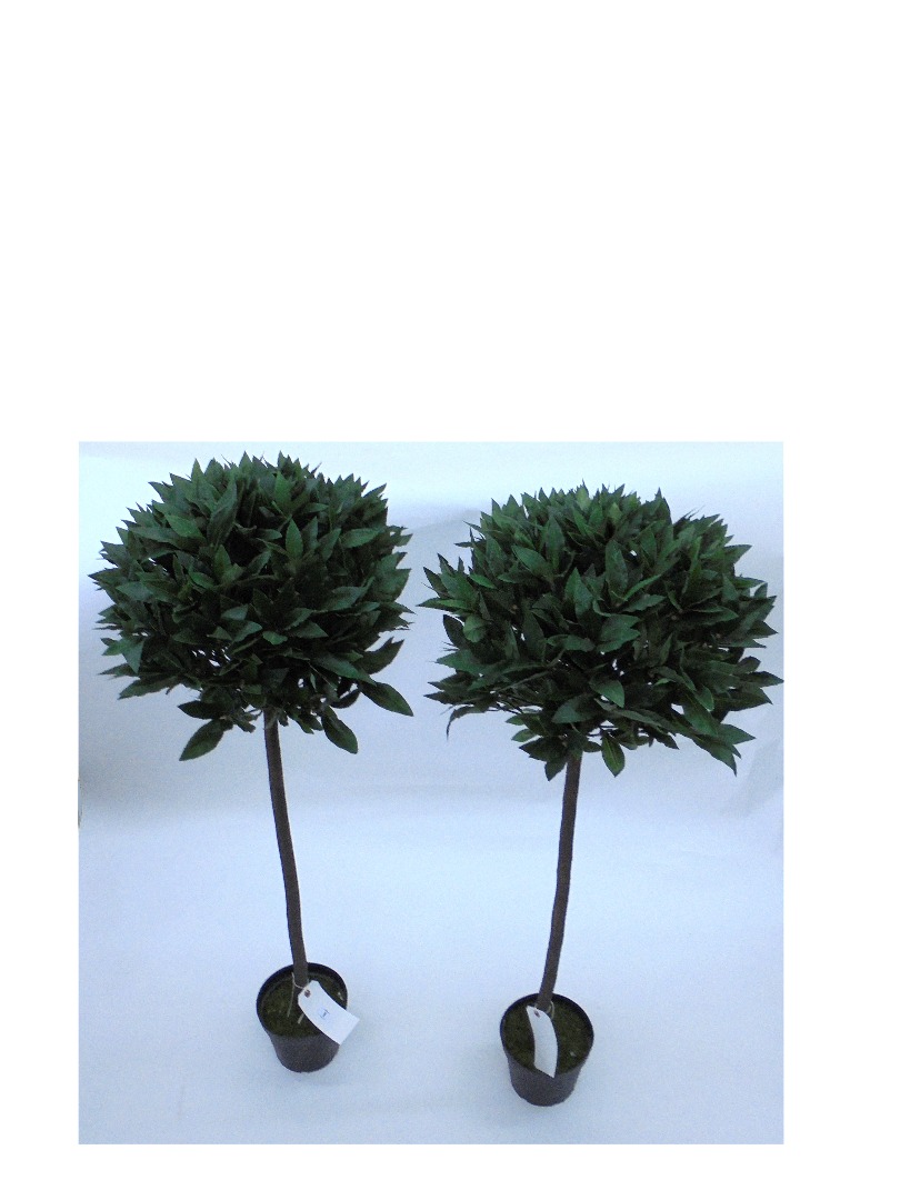 Appraisal: A pair of imitation bay trees cm high