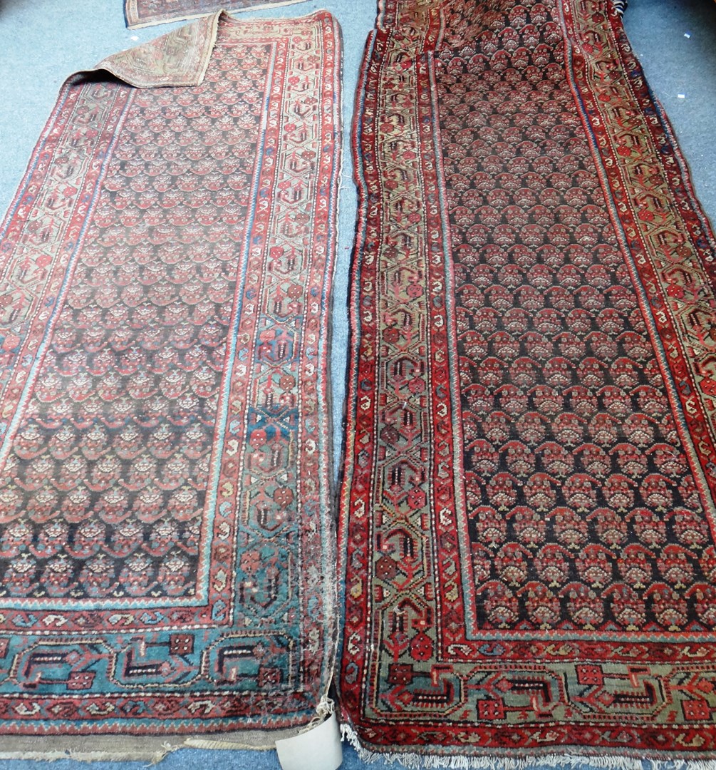 Appraisal: A pair of Saraband runners Persian the black fields each