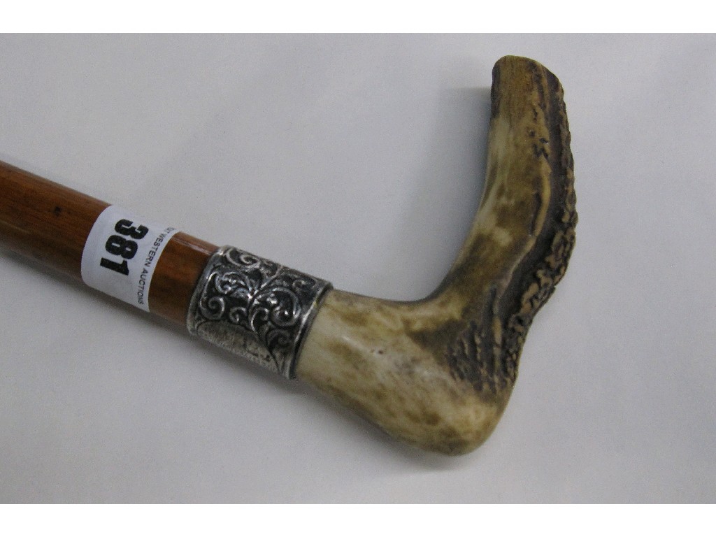 Appraisal: Bone handled walking stick