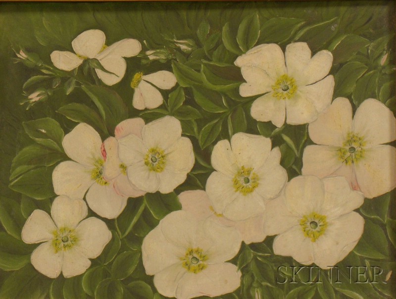 Appraisal: Framed Oil on Board of Blossoming Dogwood Branches unsigned