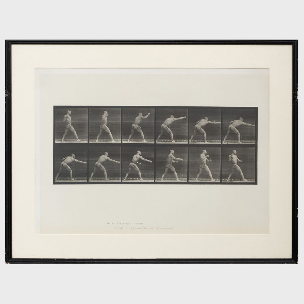 Appraisal: Eadweard Muybridge - Animal Locomotion Plates and Two colotypes on