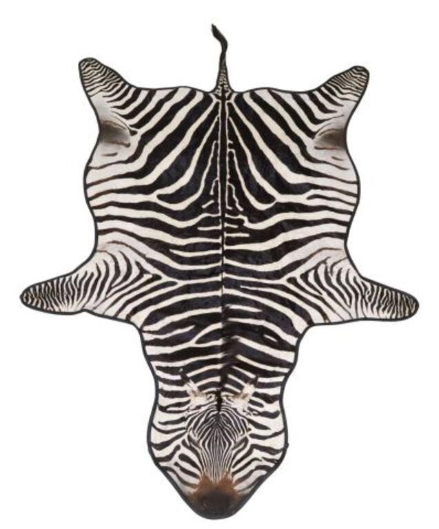 Appraisal: Taxidermy large African zebra hide affixed to black leather a