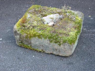 Appraisal: A YORKSHIRE STONE TROUGH of rough hewn rounded oblong form