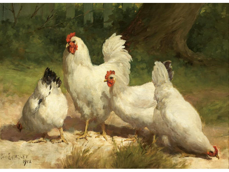 Appraisal: PAUL E HARNEY AMERICAN - Four Chickens oil on canvas