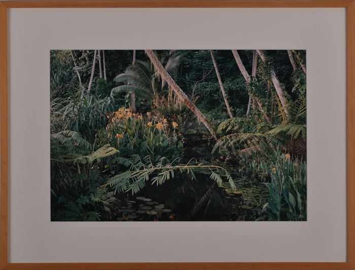 Appraisal: MITCH EPSTEIN b TAHITI Ektacolor print x in titled signed