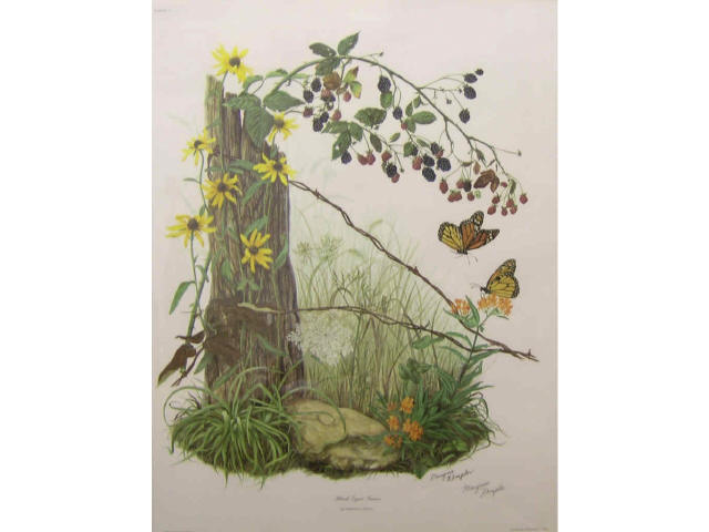 Appraisal: Maryrose Wampler th Century IN x Lithograph SLR Blackeyed Susan