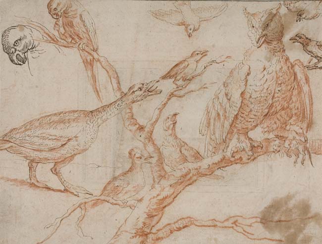 Appraisal: FRENCH SCHOOL TH-CENTURY Study of Birds Red chalk pencil and