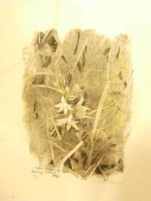 Appraisal: HAINARD ROBERT Gen ve - Gland Fleurs Gravure sur bois