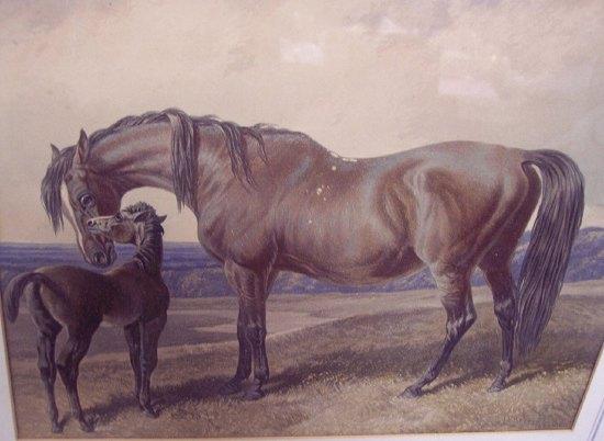 Appraisal: after J F Herring seniorMare and Foalcoloured engraving cm x