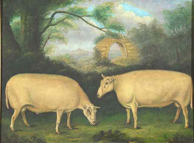 Appraisal: TH CENTURY ENGLISH NAIVE SCHOOLTwo sheep in a landscape with