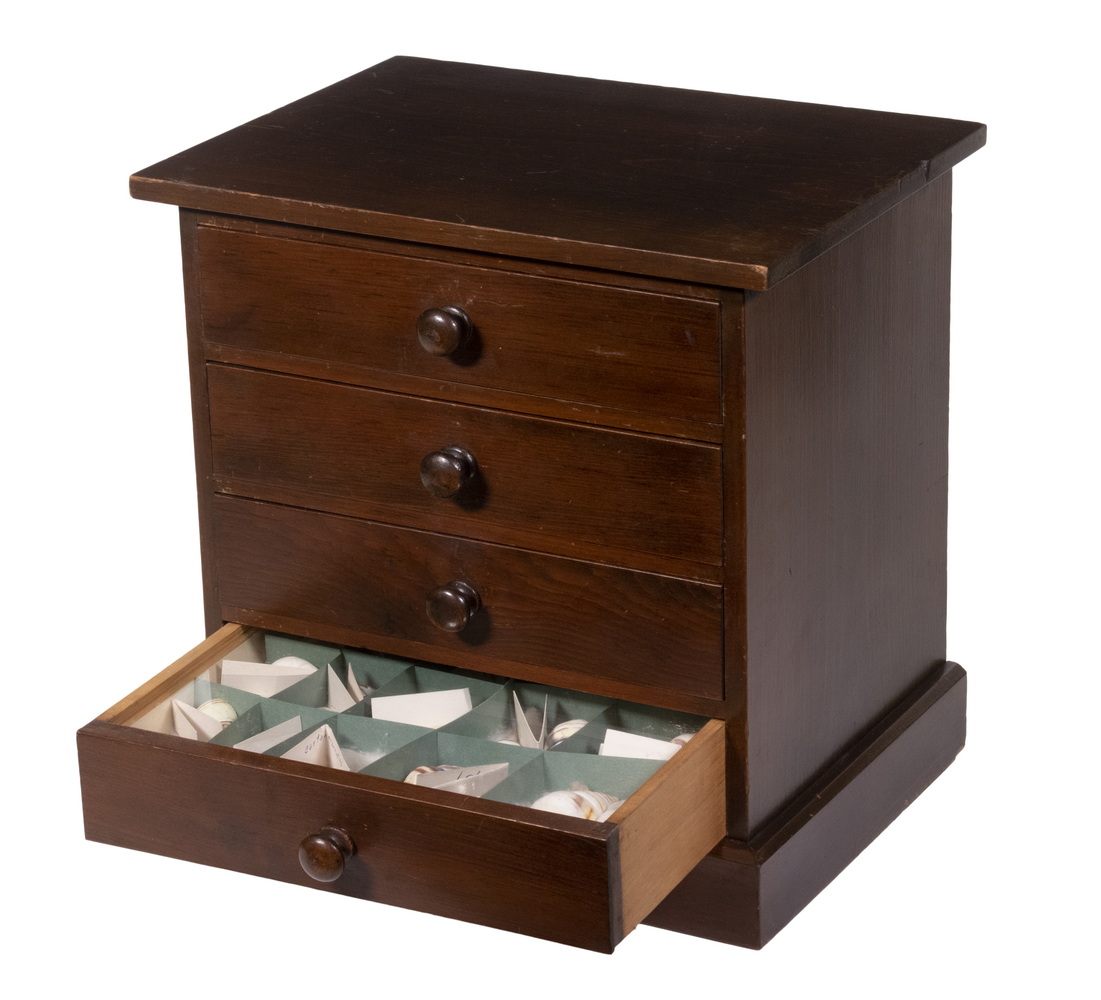 Appraisal: MINIATURE CHEST WITH SHELL COLLECTION Four-Drawer Walnut Collector's Cabinet each