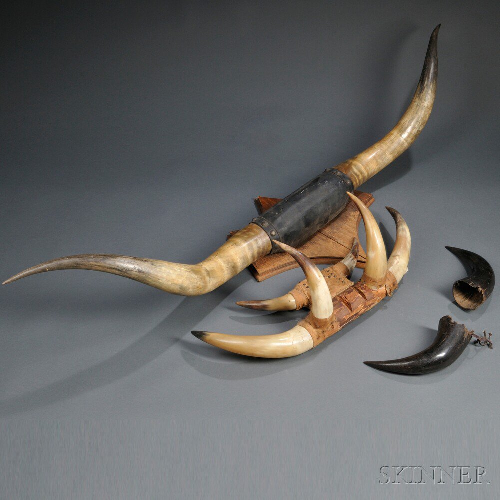 Appraisal: Three Sets of Horns two longhorn mounts and a set