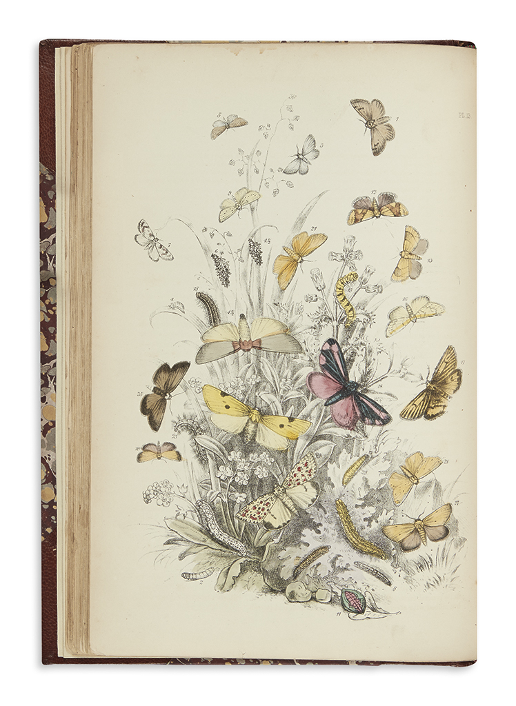 Appraisal: NATURAL HISTORY Humphreys H Noel The Genera of British Moths