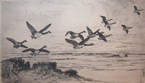 Appraisal: A classic Benson etching of Geese Flying Artist Benson Frank