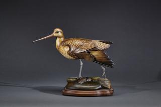 Appraisal: Feigning Godwit William Gibian b Feigning GodwitWilliam Gibian b Onancock